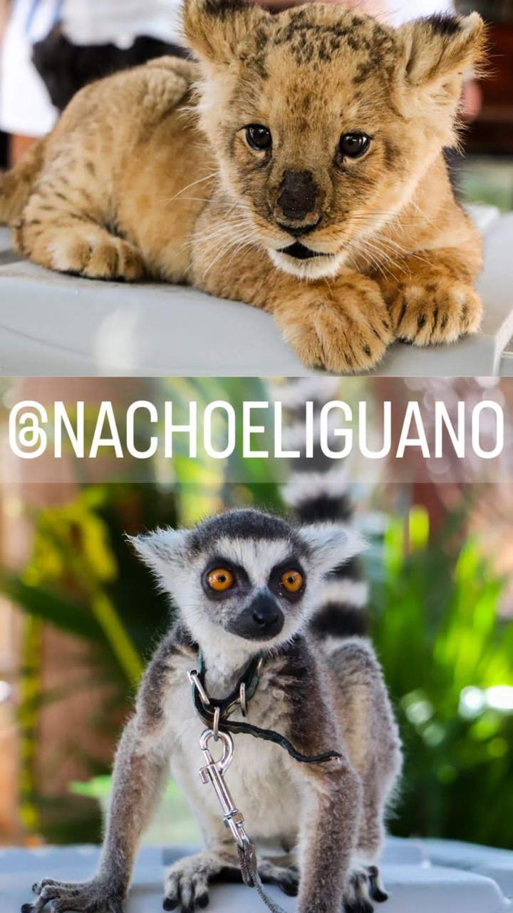 Apóyenos siguiendo nuestras aventuras en Instagram